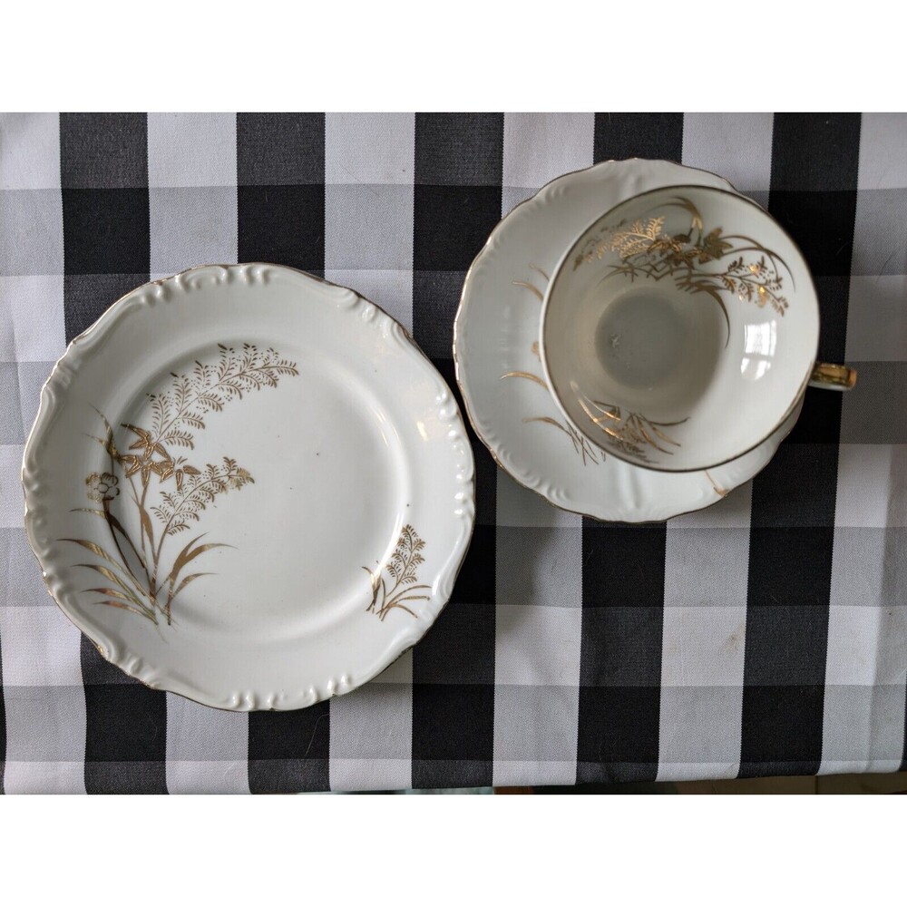 Royal Carlton Gold Ferns Flowers Scalloped Edge No Trim Plate Cup And Saucer7806